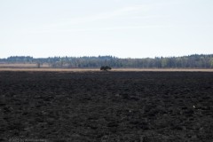 edese heide#(20250407)i landschappen
