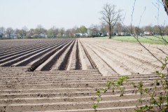 akker#(20250412) landschappen