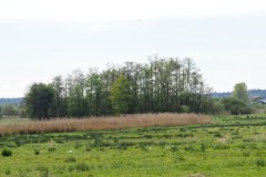 binnenveld#(20250419) landschappen