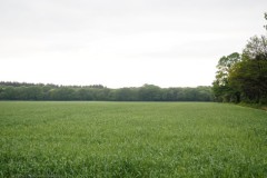 akker#(20260505) landschappen