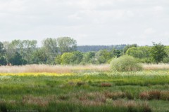 binnenveld#(20250505) landschappen