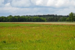 akker#(20260518)a landschappen
