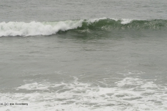 golven#(20160606) landschappen