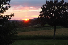 sunset bladanel#(20160611) landschappen