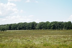 oud reemst#(20260629) landschappen