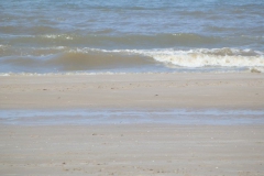zand#(20150703)b landschappen