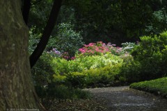 wageningen#(20250714)b landschappen