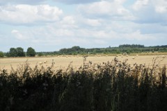 akker#(20260720)a landschappen