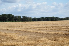 akker#(20260720)b landschappen