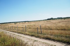 akker#(20260808)