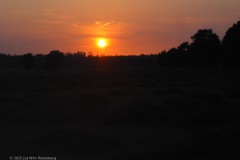 sunset edese heide#(20250814) landschappen