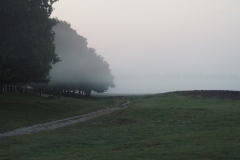 sunrise ginkelse heide#(20170829)a landschappen