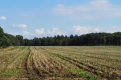 akker#(20250830) landschappen