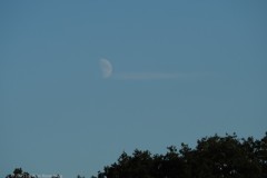 maan#(20250901) landschappen