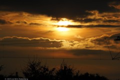 sunset wildzoom#(20250929) landschappen