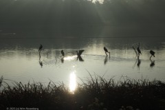 water#(20251107) landschappen