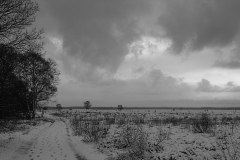 ginkelse heide#(20171209)b landschappen