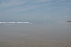 zand#(20160607)a landschappen