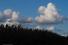 wolken#(20230724) landschappen