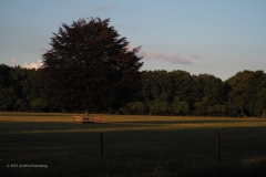 akker#(20230724) landschappen