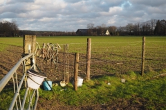 akker#(20230108)b landschappen
