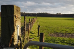 akker#(20230108)c landschappen