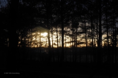 sunset sysselt#(20210109) landschappen