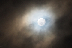 maan#(20200110) landschappen