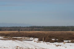 edese heide#(20240116) landschappen