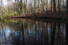 landgoed#(20230117)a landschappen