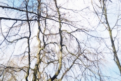 lucht#(20230117)a landschappen