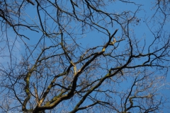 lucht#(20230117)b landschappen