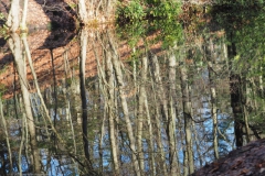 landgoed#(20230117)c landschappen