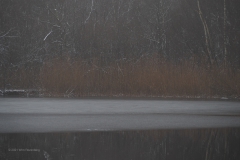 kreelse plas#(20210117) landschappen