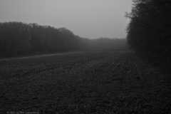 akker#(20250121)zw landschappen