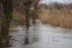 wageningen#(20230122)a landschappen