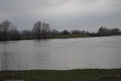 rivier#(20230122)a landschappen