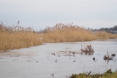 wageningen#(20230122)b landschappen