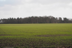 akker#(20240122) landschappen