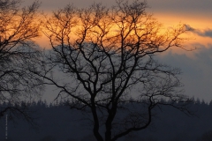 sunset kraats#(20210126)ba landschappen