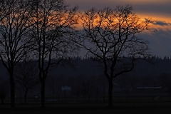 sunset kraats#(20210126)b landschappen