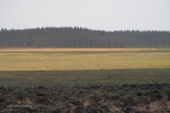 akker#(20220130)a landschappen