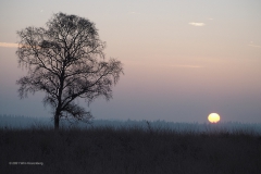 sunrise ginkelse heide#(20210131)a landschappen