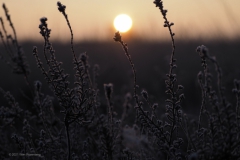 sunrise ginkelse heide#(20210131)b landschappen