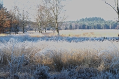 winterlandschap#(20250202)b landschappen