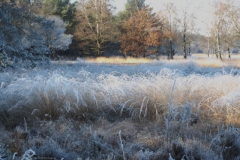 winterlandschap#(20250202)a landschappen