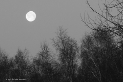 maan#(20230207) landschappen