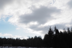 wolken#(20210209)a landschappen