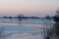 uiterwaarden#(20210212)a landschappen