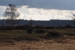 wolken#(20240212)a landschappen